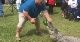 Ungewöhnliche Gender Reveal Party mit Alligator geht viral